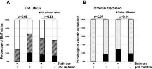 Figure 5 Association between EMT status and p53 mutation with or without statin use. EMT status was categorized into three groups: full (E-cadherin negative, vimentin positive), partial (both E-cadherin and vimentin positive or both negative), and null (E-cadherin positive, vimentin negative). (A) No statin users had full EMT activation. (B) No statin users with p53 mutation were vimentin-positive.Abbreviation: EMT, epithelial to mesenchymal transition.