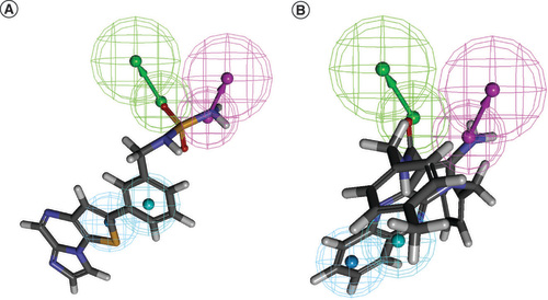 Figure 2. Alignment of Hypo 1 to the compound of the training set. (A) Mapping of training set compound 1 (IC50 = 3 nM) in Hypo 1. (B) Mapping of training set compound 20 (IC50 = 19,100 nM) in Hypo 1.