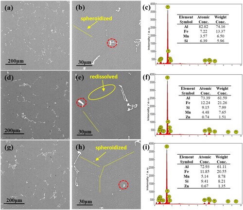 Figure 2. SEM Homogeneous microstructures and EDS analysis of alloys with different contents of Sn, (a–c) alloy B, (d–f) alloy B-0.01, (g–i) alloy B-0.03.