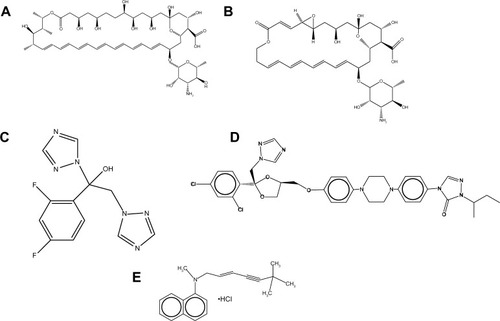 Figure 1 Chemical structures of antifungals used in this study. (A) Amphotericin B; (B) natamycin; (C) fluconazole; (D) itraconazole; (E) terbinafine chloride.