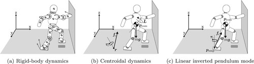 Figure 1. Dynamical models with different dimensionality.