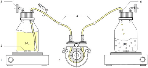 Figure 1. Scheme of cell immobilization setup. (1) Magnetic drive; (2) Magnetic rod; (3) Microbial filter (0.2 µm); (4) Silicon tube (0.2 mm); (5) Peristaltic pump; (6) Cable tie. (A) The medium preparation vessel of the alginate-cell mixture recipe. (B) The hardening medium (0.2 mol L−1 CaCl2.5H2O solution) vessel, with a volume of 0.25 L scourge bottle.