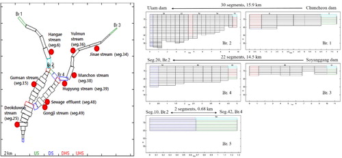 Figure 2. Grid structure of the CE-QUAL-W2 model in Lake Uiam and the location of tributary streams and STP effluent outlet (left), grid structure of branches (right).