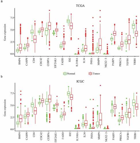 Figure 3. The expression of differentially expressed MDGs in HCC from TCGA and ICGC data. (a) The expression of differentially expressed MDGs in TCGA data. (b) The expression of differentially expressed MDGs in ICGC data