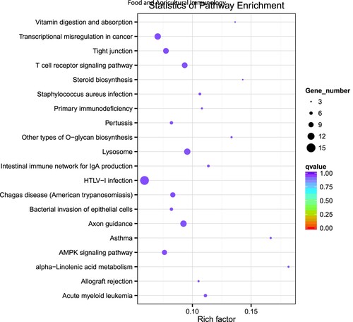 Figure 5. KEGG pathway enrichment analysis of DE mRNAs. The top 20 enriched KEGG pathways ranked by P-value.