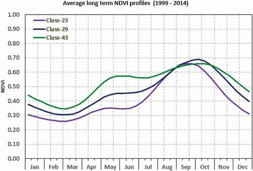 Figure 2. Average long term (1999–2014) NDVI profile of the NDVI classes studied.