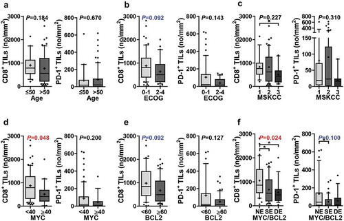 Figure 3. Numbers of CD8+ TILs and PD-1+ TILs according to clinicopathological parameters. The numbers of CD8+ TILs were compared according to age (≤50, n = 21; >50, n = 75) (a), ECOG performance status (0–1, n = 60; 2–4, n = 35) (b), MSKCC class (class 1, n = 18; class 2, n = 66; class 3, n = 11) (c), MYC expression (<40, n = 76; ≥40, n = 20) (d), BCL2 expression (<60, n = 40; ≥60, n = 56) (e), and MYC/BCL2 expression status (NE, n = 36; SE, n = 44; DE, n = 16) (f). The numbers of PD-1+ TILs were compared according to age (≤50, n = 19; >50, n = 71) (a), ECOG performance status (0–1, n = 57; 2–4, n = 32) (b), MSKCC class (class 1, n = 16; class 2, n = 64; class 3, n = 9) (c), MYC expression (<40, n = 72; ≥40, n = 18) (d), BCL2 expression (<60, n = 38; ≥60, n = 52) (e), and MYC/BCL2 expression status (NE, n = 35; SE, n = 40; DE, n = 15) (f). Differences were analyzed using Mann–Whitney U test and Kruskal–Wallis test and multiple test correction were done by Benjamini and Hochberg method. Adjusted P values were presented on graphs. Whiskers, 10th to 90th percentiles; midline of the box, median; +, mean. Points below and above the whiskers are individual points. *P< .05. Abbreviations: DE, double expresser; ECOG, Eastern Cooperative Oncology Group; MSKCC, Memorial Sloan Kettering Cancer Center; NE, non-expresser; SE, single expresser.