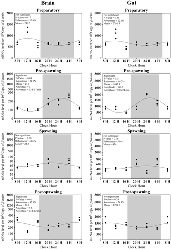 Figure 5. Changes in the expression of Aanat2 in six different time points (8, 12, 16, 20, 24, and 4 h) in different seasons (n = 3) were fitted to nonlinear regression curve using the formula “Y = Mesor + Amplitude Cos (Frequency X + Acrophase)”.