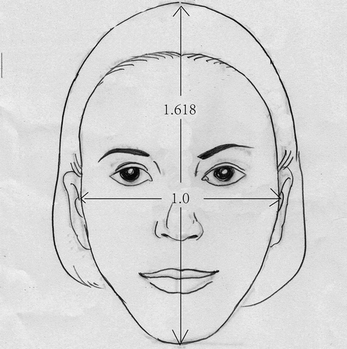 Figure 1. External golden ratio, face length 1.618: face width 1.0.