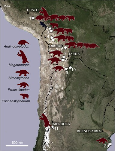 FIGURE 7. Map showing selected Upper Miocene–Pliocene localities (stars) in Peru, Bolivia, and Argentina, where the mammalian genera discovered in Espinar (silhouettes) have been documented. Peru: 1, Espinar. Bolivia: 2, La Paz; 3, Ayo-Ayo; 4, Choquecota; 5, Pomata-Ayte; 6, Inchasi; 7, Casira. Argentina: 8, Casira; 9, Maimará; 10, Uquia; 11, Huayquerías; 12, Mar del Plata. Map source: U.S. Geological Survey's Center for Earth Resources Observation and Science (EROS).