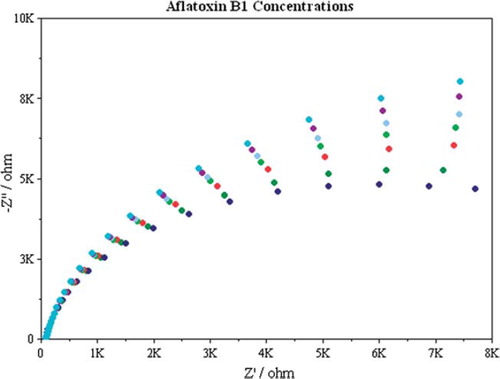 Figure 6. Nyquist plots for increasing concentrations of aflatoxin B1 [Working conditions: Incubation period for anti-aflatoxin B1 antibody: 30 min., stirring rate: 100 r.p.m., electrochemical redox prob solution: Fe(CN)63 − /4 − , 0.005 M + 0.1 M KCl, frequency range: 0.1–100000 Hz, AC potential: 0.01 V, bias potential 0.025 V].