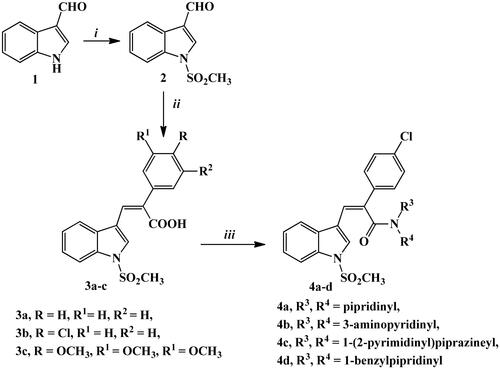 Scheme 1. Synthetic routes for preparation of starting material 2, carboxylic acid derivatives 3a–c, and amide derivatives 4a–d. Reagents and conditions: (i) NaH, ClSO3H, THF, stirring R.T., 3 h; (ii) phenyl acetic acid, p-chlorophenyl acetic acid or 3,4,5-trimethoxyphenyl acetic acid, K2CO3, Ac2O, 90 °C, 4–6 h; (iii) the appropriate amine, HBTU, DMF, stirring 2–4 h.