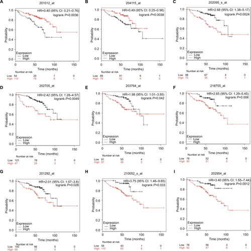 Figure 3 Kaplan–Meier curves depicting OS in nonsmoking females with NSCLC with high and low expression of ANXA1 (A), GNG11 (B), BIRC5 (C), CCNB2 (D), DLGAP5 (E), KIF20A (F), TOP2A (G), TPX2 (H), and UBE2C (I).Abbreviations: NSCLC, non-small cell lung carcinoma; OS, overall survival.