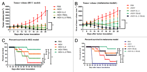 Figure 5. rNDV-IL-2-TRAIL effectively suppressed tumor growth and prolonged animal’s survival. (A) Mean value of tumor volume in virus-treated and PBS-treated group in melanoma model. (B) Mean value of tumor volume in virus-treated and PBS-treated group in HCC model. (C) Survival of the melanoma model animals in 120 d period after treatment with the recombinant viruses. (D) Survival of the HCC model animals in 120 d period after treatment with the recombinant viruses. The tumor-bearing mice were sacrificed when the tumor volume developed to a significant size (diameter >18 mm). All the values are the mean and SD of triplicate samples. The Student paired two-tailed t test revealed a significant effect, *P < 0.05, **P < 0.01.