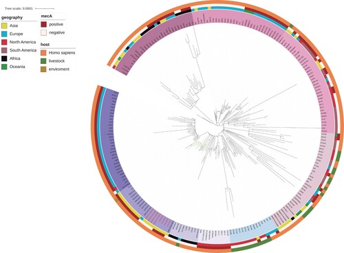Figure 3. A core-genome global phylogenetic tree of ST1 Staphylococcus aureus. The tree is rooted at the midpoint. The labels of fosY-positive strains are marked in red. The branches of the strains isolated in this study are marked in green. Major clades are identified based on the coloured backgrounds of the branches. The inner coloured ring indicates the collection region of all the genomes. The next ring indicates mecA and the hosts of the isolates are shown in the outermost ring.