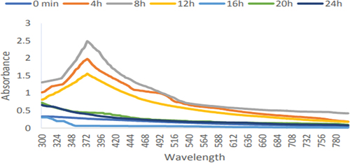 Figure 2. Ultraviolet-visible spectra for the production of zinc oxide nanoparticles by leaf extract of Eucalyptus globulus Labill. At 40°C for various periods of incubation.