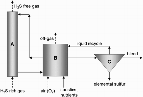 Figure 1. Simplified scheme of the process for biotechnological removal of H2S from gas streams. (A) Gas absorber; (B) bioreactor; (C) sulphur settler.