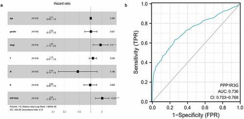 Figure 4. The independent prognostic factor and clinical diagnostic value of PPP1R3G in lung adenocarcinoma (LUAD)