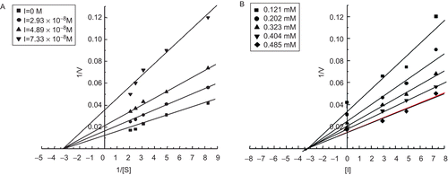 Figure 3.  (A) Lineweaver-Burk plot determining mode of inhibition of rTID. (B) Dixon plot for determining the equilibrium dissociation constant (Ki) of rTID. Data points are the average of three determinations.