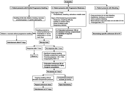 Figure 2: Treatment algorithm for management of snakebite in northern KwaZulu-Natal.