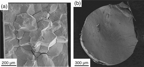 Figure 2. Cleavage surfaces of NPG samples prepared by dealloying (a) (from [Citation31]) and (b) . Note intergranular cracking in (a) versus intragranular cracking in(b).