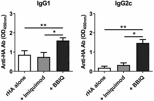 Figure 6. BBIQ enhances IgG antibody responses in influenza vaccinated mice. Female C57BL/6 mice, 6 to 8 week old, were immunized twice i.m. at a 2-week interval with recombinant hemagglutinin (rHA) protein 1μg alone or admixed with 10μg imiquimod or BBIQ in 50μl total volume. Blood samples were collected 2 weeks after the second immunization and antigen-specific IgG1 or IgG2c antibodies measured by ELISA with results shown as the OD (*p < .05, **p < .01).