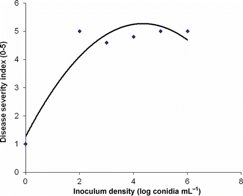 Fig. 3. Effect of inoculum density (X) of Fusarium foetens on the disease severity index (Y) on Hiemalis begonia 5-weeks post inoculation (Y = −0.2119x2 + 1.8429x + 1.69; R2  = 0.8988; P < 0.001).