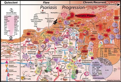 Figure 1 Key signals in psoriasis development.