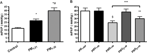 FIGURE 1 Simvastatin prevents the development and progression of pulmonary arterial hypertension in pneumonectomized, MCT-treated rats. (A) Mean pulmonary arterial pressures (mPAPs) in group PM1−21 (pneumonectomized, MCT-treated rats that were sacrificed on day 21; n = 10), Group PM1−35 (pneumonectomized, MCT-treated rats that were sacrificed on day 35; n = 8), and control (normal rats; n = 10). Bars are means ± SD. *P <.001 for groups PM1−21 and PM1−35 versus control; # P <.001 for group PM1−21 versus group PM1−35. (B) Mean pulmonary arterial pressures (mPAPs) in group PM1−35 as stated in A, group PMV1−35 (MCT-treated, pneumonectomized rats that received vehicle from days 1 to 35; n = 9), group PMS1−35 (MCT-treated, pneumonectomized rats that received simvastatin [2 mg/kg per day] from days 1 to 35; n = 12), group PMV21−35 (MCT-treated, pneumonectomized rats that received vehicle from days 21 to 35; n = 8), group PMS21−35 (MCT-treated, pneumonectomized rats that received simvastatin [2 mg/kg per day] from days 21 to 35; n = 10). Bars are means ± SD. § P <.001 for group PMS1−35 versus group PMV1−35; ** P <.001 for group PMS21−35 versus group PMV21−35; *** P <.001 for Group PMS1−35 versus group PMS21−35.