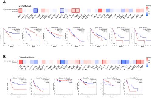 Figure 3 Survival analysis of VPS13A in different tumors. (A) The high expression of VPS13A gene was associated with prolonged overall survival (OS) of ACC, LGG, LIHC and UCS (P=0.031, 0.0057, 0.027, 0.047, P<0.05); (B) Low expression of VPS13A gene was associated with prolonged disease-free survival (DFS) of ACC, LIHC, Prad, and UCS (P=0.0017, 0.019, 0.022, 0.015, P<0.05).