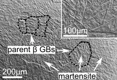 Figure 2. Secondary electron SEM micrograph of the as-quenched Ti–19Nb alloy illustrating the needle-like morphology of martensitic microstructure. GBs: grain boundaries.