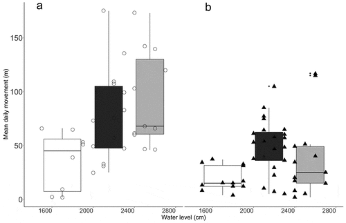 Figure 4. Variation in daily mean movement of (a) Paleosuchus palpebrosus (circles) and (b) Paleosuchus trigonatus (triangle) as a function of main-river water level during three periods: low water (white), transition (black) and high water (dark grey). Each point represents an individual location.