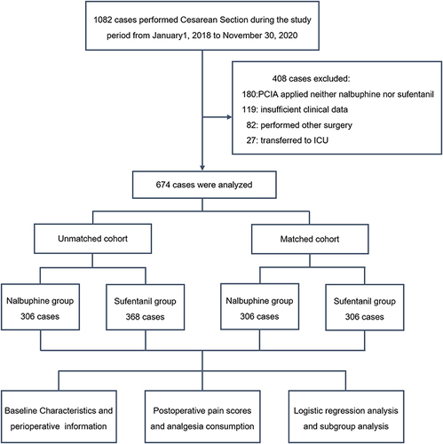 Figure 1 Flowchart schematic for participant inclusion in the trial. 674 patients were included in our trial. In the unmatched cohort, 306 cases in the Nalbuphine group and 368 cases in the Sufentanil group. In the matched cohort, there are 306 cases in both the Nalbuphine and Sufentanil groups.