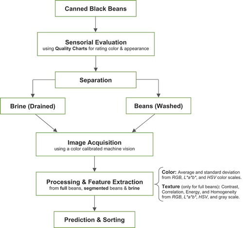 Figure 1. Experimental procedure for automatic quality evaluation of black beans.