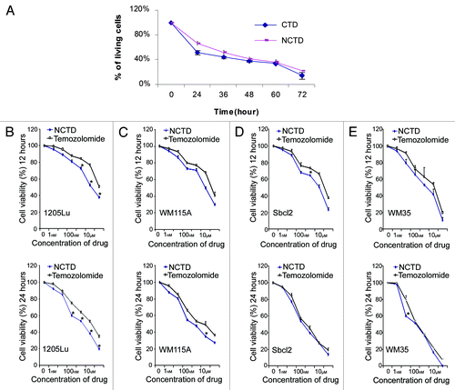 Figure 1. NCTD inhibits melanoma cell survival. (A) Inhibitory effects of CTD and NCTD on 1205Lu cells. The cytotoxicity of CTD and NCTD was evaluated using the MTT assay. Three independent experiments were performed. (B–E) Effect of NCTD on 1205Lu, WM115A, Sbcl2 and WM35 cells. The cytotoxicity of NCTD and temozolomide was evaluated using the MTT assay. Melanoma cells were treated for 12 or 24 h in the presence of various concentrations of NCTD or temozolomide as indicated. * Indicates p < 0.05, compared with corresponding temozolomide treated melanoma cells.