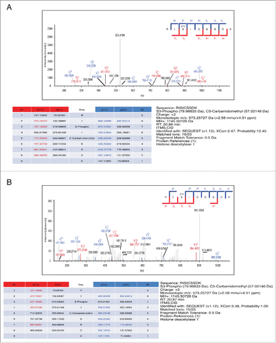 Figure 1. MS Spectrum and Full Annotation of HDAC1 phospho-S(406). TiO2-enriched mass spectrometry of HDAC1. In vitro purified HDAC1 was previously subjected to an in vitro kinase assays as described in Materials and Methods. (A) MS2 and (B) MS3 spectra.