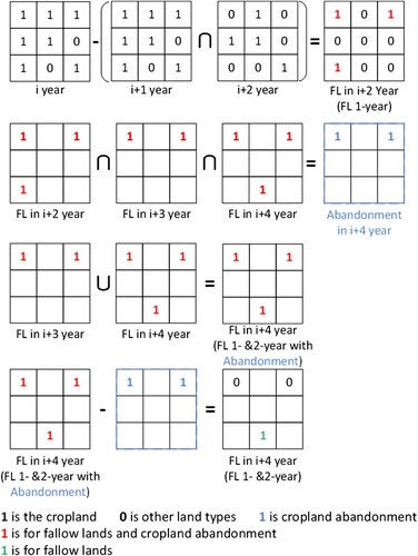 Figure 4. Identification and calculation of fallow lands.Note: FL represents fallow lands, and ‘FL in i+2 (FL 1-year)’ signifies that it had been fallow for one year in i+2 year; ‘Abandonment in i+4 year’ represents croplands that had been fallow for three years as of i+4; ‘FL in i+4 (FL 1- &2-year with abandonment)’ represents croplands that had been fallow for one to two years as of i+4, but abandonment was not considered; ‘FL in i+4 (FL 1- &2-year)’ refers to the croplands that had been fallow for one to two years as of i+4; areas that had been fallow for more than two years were removed.