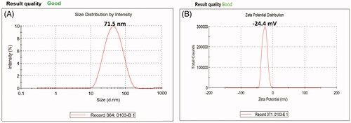Figure 4. Dynamic light scattering (A) and Zeta potential (B) of the biosynthesized silver nanoparticles, illustrating the particle size distribution and surface charge value, respectively.