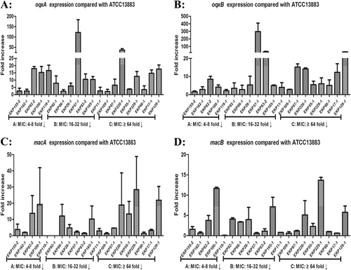 Fig. 3 Relative gene expression, expressed as fold change, of oqxAB and macAB efflux pumps in 20 clinical eravacycline-heteroresistant K. pneumoniae isolates.Expression levels were detected by qRT-PCR, with tigecycline-susceptible K. pneumoniae ATCC 13883 used as the reference strain (expression = 1). MIC: 4–8-fold↓, PAβN reduced eravacycline MICs by 4–8-fold compared to eravacycline alone