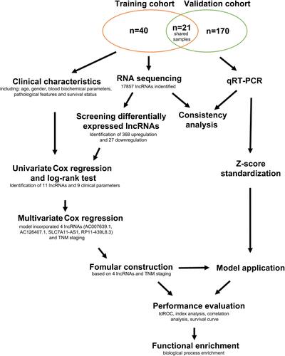 Figure 1 The design of this study. A total of 231 HCC patients from Mengchao Hepatobiliary Hospital of Fujian Medical University were collected and distributed into the training cohort (n=61) and the validation cohort (n=191). Among these recruited patients, 21 patients were shared by both of the cohorts. HCC and non-tumor tissues from the training cohort were analyzed by RNA sequencing, and applied to establish the prognostic model. Another batch of samples from the validation cohort were measured by qRT-PCR to confirm the expressions of prognostic evaluation lncRNAs and assess the performance of the model.