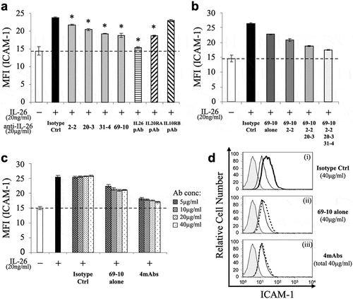 Figure 2. Addition of novel anti-IL-26 mAbs inhibits cell surface ICAM-1 expression on IL-26-stimulated COLO205 cells.COLO205 cells were stimulated with recombinant human IL-26 (20 ng/ml) for 24 hr. Cell surface ICAM-1 gated for viable cells was detected by flow cytometry. (a) Prior to the onset of stimulation, the indicated Ab or isotype control Ab (isotype ctrl) was added to the culture wells to give a final concentration of 20 μg/ml each. (b) Prior to the onset of stimulation, isotype control mAb (5 μg/ml), 69–10 mAb alone (5 μg/ml) or the combination of 69–10 mAb and 2–2 mAb, 20–3 mAb, 31–4 mAb (5 μg/ml, respectively) was added to the culture wells. (c) Prior to the onset of stimulation, the indicated concentrations of isotype control mAb, 69–10 mAb alone or the combination of 4 mAbs were added to the culture wells. (a-c) The dashed line is the standard value of unstimulated cells (vehicle). Representative data of five independent experiments are shown as mean ± S.D. of mean fluorescence intensity (MFI) from triplicate samples, comparing values in each Ab to those in isotype control (* p < 0.01), and similar results were obtained in each experiment. (d) Data are shown as histogram of ICAM-1, and are representative of five independent experiments. The thin black lines in each histogram show the data of ICAM-1 expression on unstimulated cells. The bold black line (i) and the dotted lines (ii, iii) in each histogram show the data of ICAM-1 expression on IL-26-stimulated cells in the presence of the indicated Abs (40 μg/ml each). The gray areas in each histogram show the data of the PE-labeled isotype control.