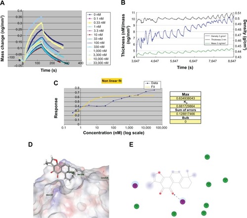 Figure 3 Binding affinity and docking simulation of T2A–APE1 interaction.