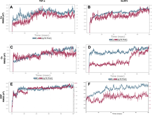 Figure 4 Representative RMSD panels of the Ca, Cb, and donepezil target protein TNF-α and NLRP3 over different nanoscale times. The left and the right y-axis indicated a change in the RMSD value of the target protein and ligand respectively over different nanoscale times. (A) Ca-TNF-α complex, (B) Ca-NLRP3 complex, (C) Cb-TNF-α complex, (D) Cb-NLRP3 complex, (E) DNP-TNF-α complex, (F) DNP-NLRP3 complex.