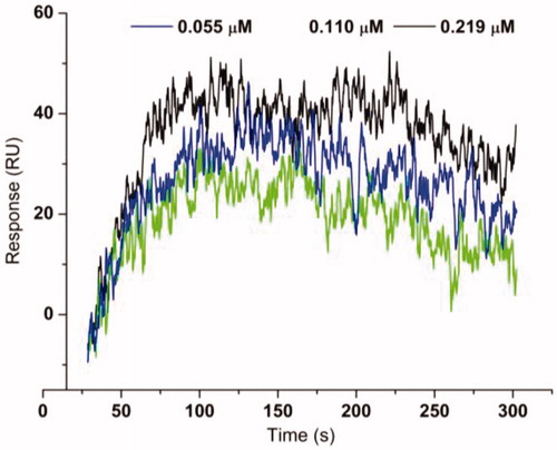 Figure 1. Sensograms of interactions between b19 and urease.