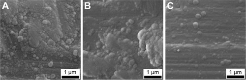 Figure 5 Comparative surface morphology as evidenced by SEM for (A) BG-O, (B) BG-3S, and (C) BG-5S coatings.Abbreviations: SEM, scanning electron microscopy; BG-O, films deposited from the simple BG target; BG-3S, films deposited from BG target with three silica plates; BG-5S, films deposited from BG target with five silica plates.