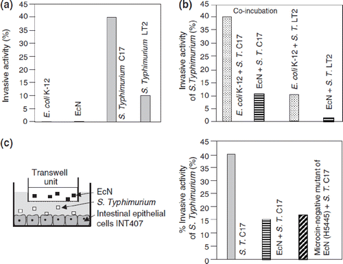 Figure 9. Inhibition of Salmonella typhimurium (S.T.) invasion into INT407 intestinal epithelial cells by E. coli Nissle 1917 (EcN) (Citation99,Citation100). (a) Cell cultures with INT407 cells were separately incubated with either E. coli K-12 or EcN, or with the S. typhimurium strains C17 or LT2. While both non-pathogenic E. coli strains were also non-invasive, the Salmonella typhimurium strains showed differently strong invasive activity. (b) Co-incubation of INT407 cells with E. coli K-12 and S. typhimurium C17, EcN and S. typhimurium C17, E. coli K-12 and S. typhimurium LT2, and EcN and S. typhimurium LT2. While co-incubation with E. coli K-12 had no effect on the invasive activity of the S. typhimurium strains, co-incubation with EcN markedly inhibited the invasive activity of both S. typhimurium strains. (c) As shown by cell culture experiments using a transwell system (left), the anti-invasive activity of EcN is not due to direct interaction between EcN and S. typhimurium nor to occupation of receptor sites by EcN at the epithelial surface, since the effect was still present after separating EcN from S. typhimurium and from the intestinal cells as well (right).