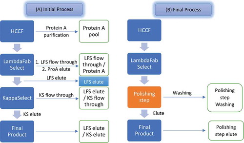 Scheme II. Downstream process used to purify bispecific antibodies.