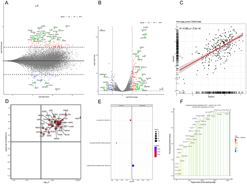 Figure 4 Association between SREBF2 and DHCR7 expression (A and B) MA plot and volcano plot generated after knockdown of SREBF2. (C) Correlation analysis between SREBF2 and DHCR7 expression in the TCGA cohort. (D) Correlation analysis between SREBF2 and DHCR7 expression across cancers in the TCGA database. (E and F) GSEA enrichment analysis pathway diagram of the DHCR7 high and low expression groups. The dominant genes upregulated in the HALLMARK MYC TARGETS V2 pathway.