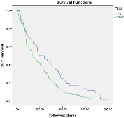 Figure 4 Kaplan-Meier analysis of survival between patients with TNM I–II and those with TNM III–IV. Cumulative survival rates were significantly higher in patients with TNM I-II (blue line) (P = 0.012).