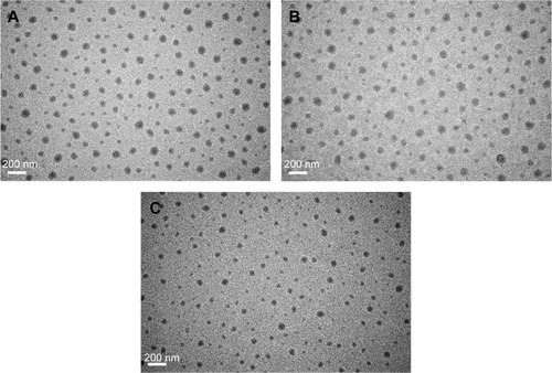 Figure 3 Morphology of SDF-1α-PPADT nanoparticles.Notes: Nanoparticles was observed by a transmission electron microscope. (A) SDF1α-PPADT nanoparticles, (B) Cy5-SDF1α-PPADT nanoparticles, and (C) PPADT nanoparticles.Abbreviations: SDF-1α-PPADT, SDF-1α-loaded PPADT; SDF-1α, stromal cell-derived factor-1α; PPADT, poly-(1,4-phenyleneacetone dimethylene thioketal).
